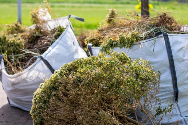 Junk Removal for Events in Homestead Meadows South, TX